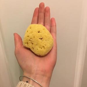 Period Sponge